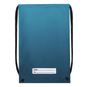 Shoe Bag Ocean Blue